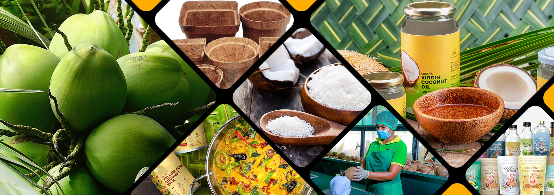 Coconut Export Performance 