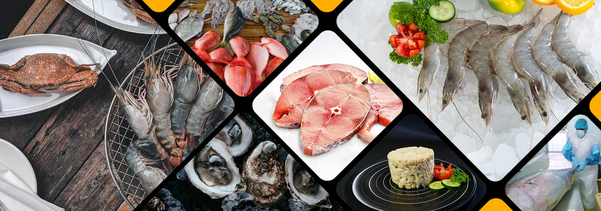 Fish & Fisheries Products