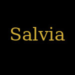 SALVIA