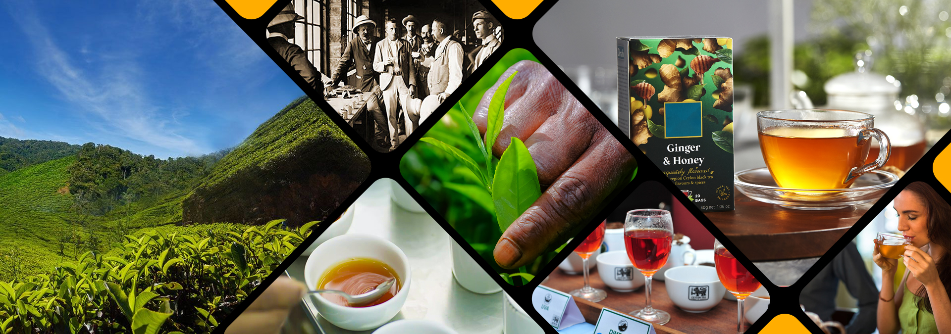 Sri Lanka Exports Development Board (EDB) - Ceylon Tea