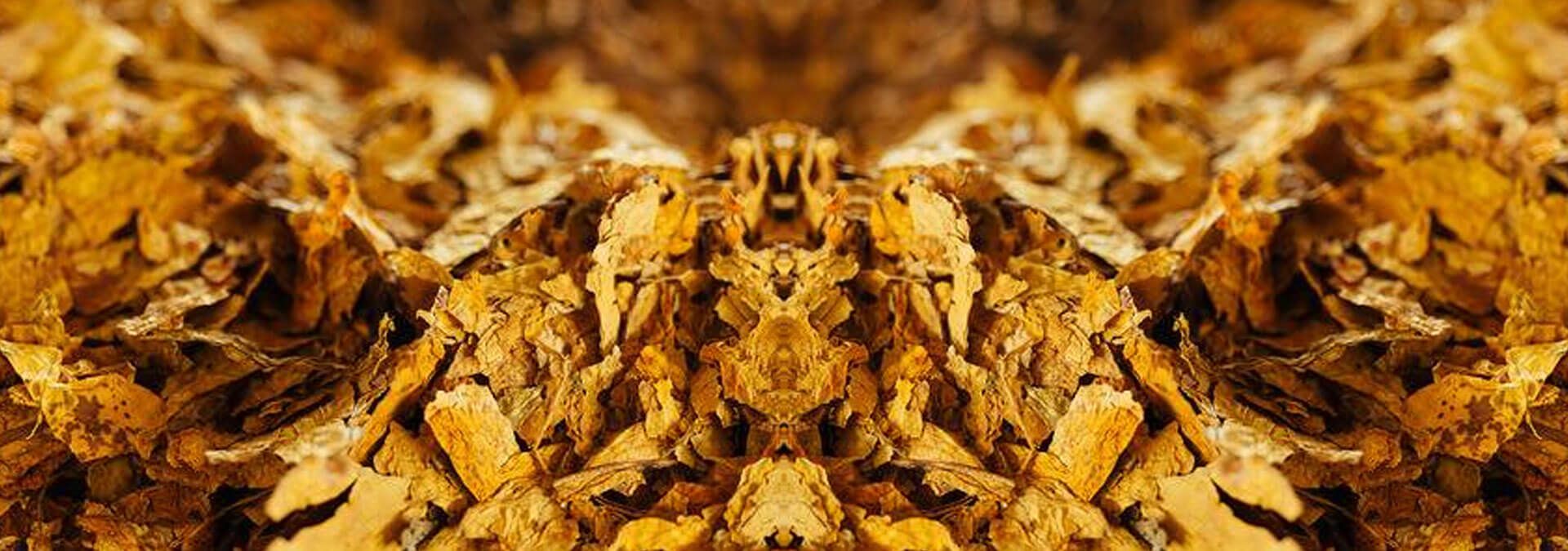 Tobacco Products Export Performance 