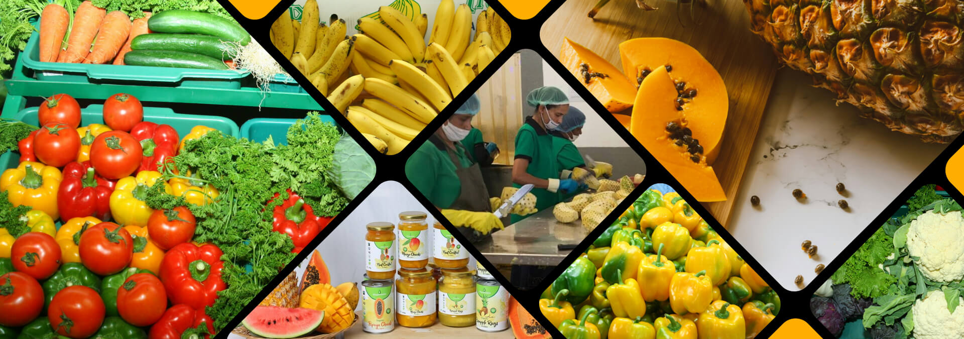Sri Lanka Exports Development Board (EDB) - Fruits, Nuts and Vegetables
